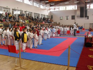 XII. Céghmester Kupa Mogyoród