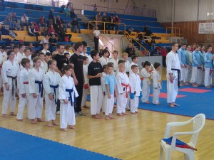 IV. Goju Ryu Sziget Kupa